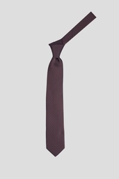 PIERRRE CARDIN  Tie 10-0091 S-24