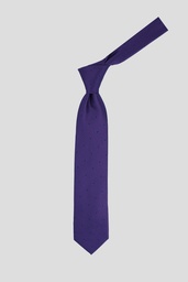 CACHREL Tie 10-0029