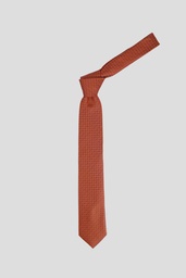 PIERRRE CARDIN Tie 10-0018