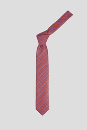 PIERRRE CARDIN Tie 10-0033