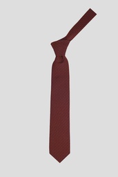 PIERRRE CARDIN Tie 10-0092