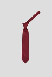 CACHAREL Tie T11-016 red with navy sequer