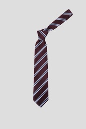 GIORGIO MARIANI Tie 10-10125